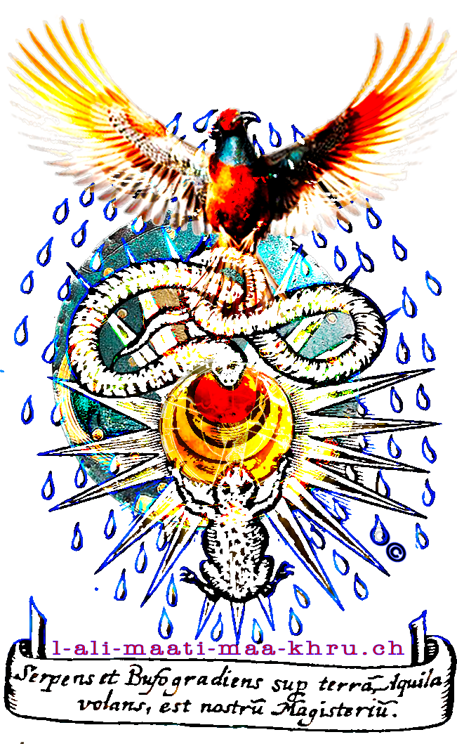 Artist Statement banner